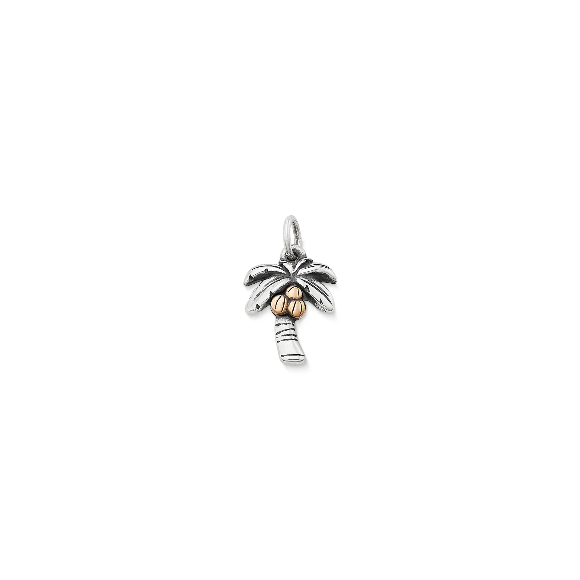 Tropical Palm Tree Charm